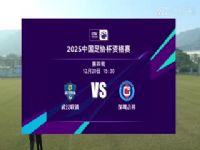 ��Э���ʸ��� �人����VS���ڼ��� 20241220