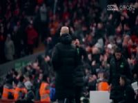 Ӣ ŵɭVS˹ά 20241130