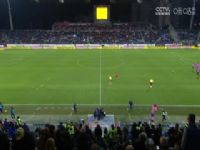 ������� ��������VSά���� 20241130